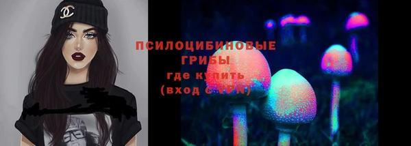 метадон Алексин