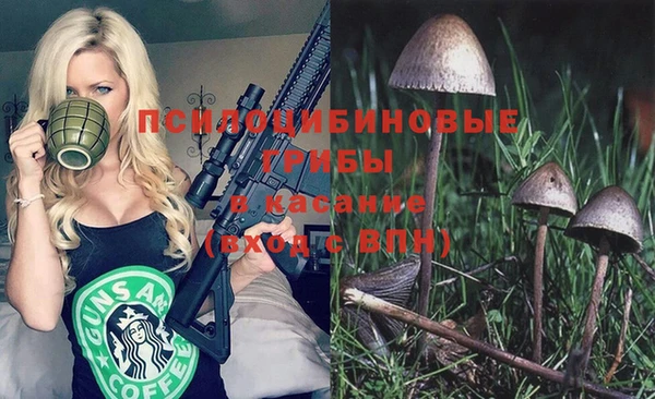 метадон Алексин