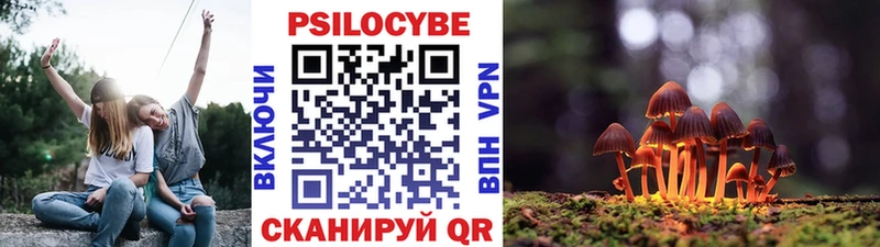 где продают наркотики  Саров  Псилоцибиновые грибы прущие грибы 