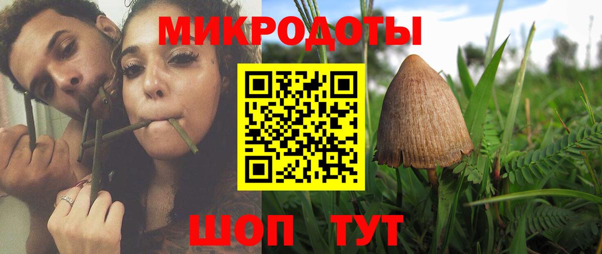 Галлюциногенные грибы мухоморы Саров